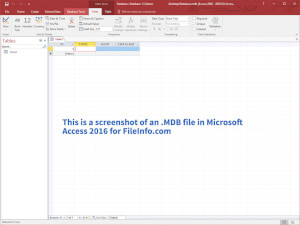 Screenshot of a .mdb file in Microsoft Access 2016