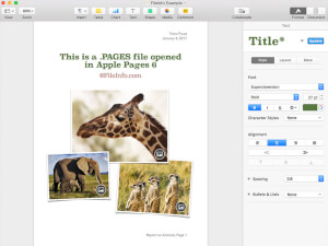 Screenshot of a .pages file in Apple Pages 6