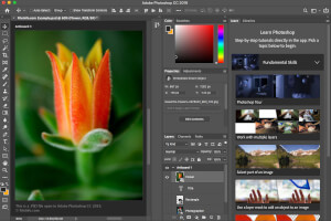 Screenshot of a .psd file in Adobe Photoshop CC 2019