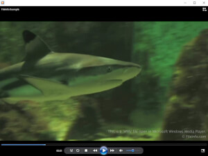 Screenshot of a .wmv file in Microsoft Windows Media Player