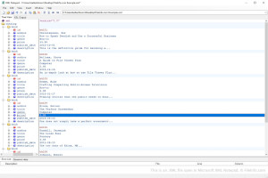 Screenshot of a .xml file in Microsoft XML Notepad